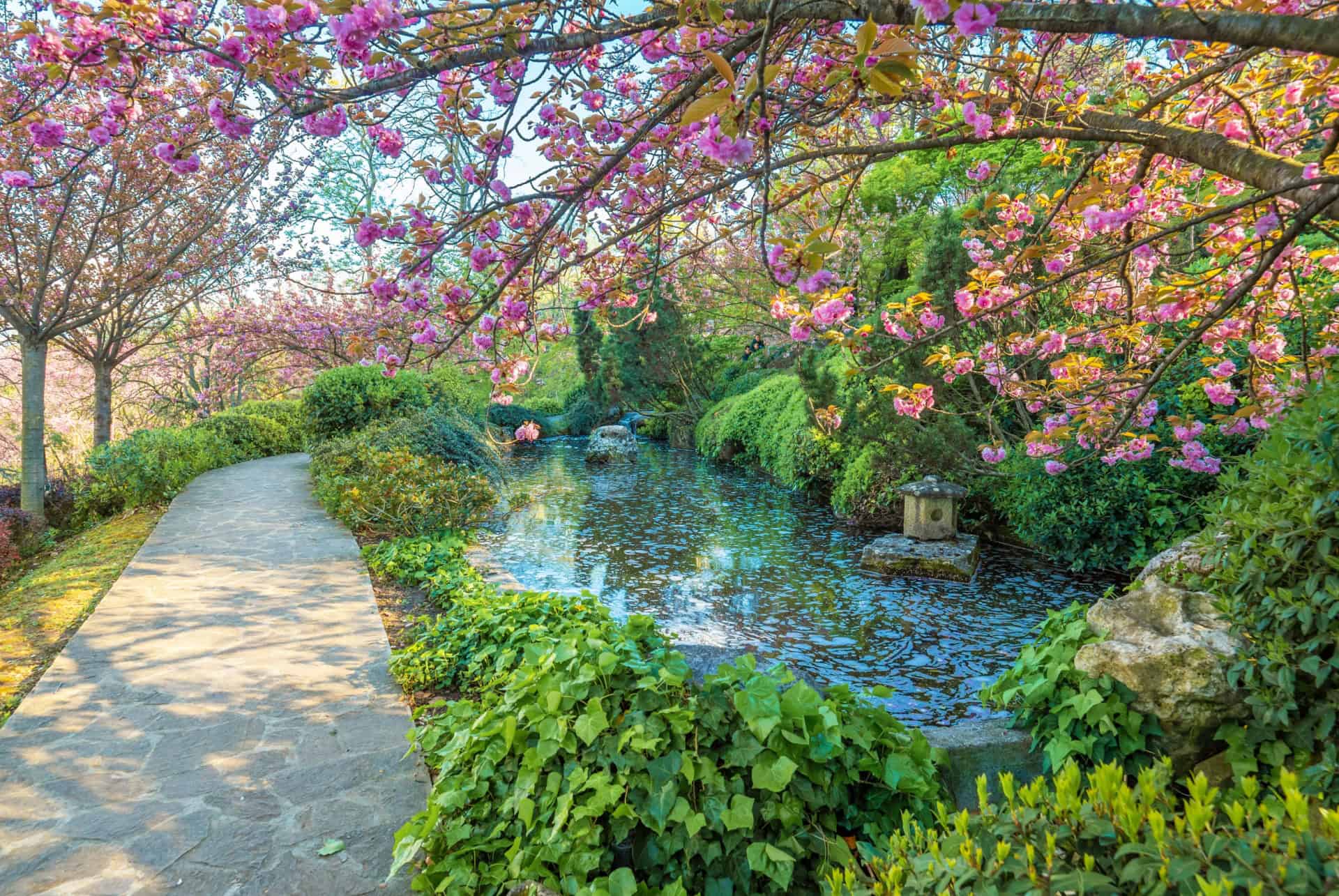 jardin botanique