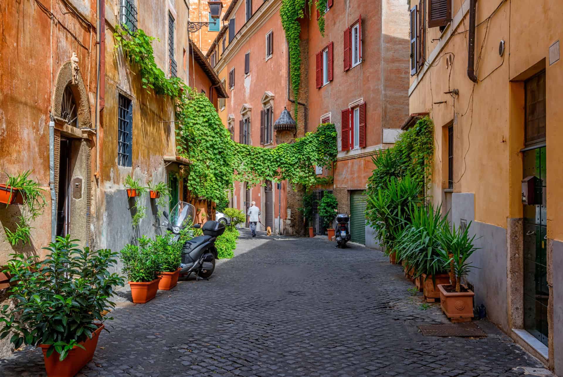 ruelles dans le quartier